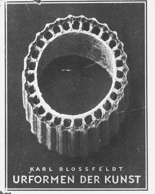 6月13日 · 把植物放大三十倍的攝影先驅 Karl Blossfeldt 逝世(1865–1932)