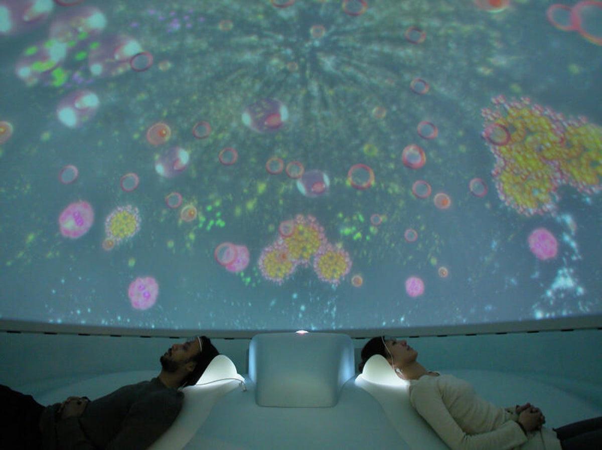 東京・森美術館：森萬里子：燦燦 2026.10.31–2027.03.28